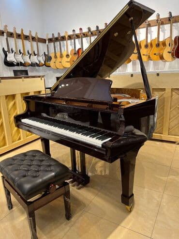 Royal, Hailun, Akustik, Yeni, Pulsuz çatdırılma lalafo.az -da Royal, Hailun, Akustik, Yeni, Pulsuz çatdırılma