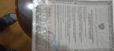 Медицинские лампы: Amplituds-5DS (СПДС) – aşağı tezlikli fizioterapiya aparatı Təyinat at lalafo.az — 4 Медицинские лампы: Amplituds-5DS (СПДС) – aşağı tezlikli fizioterapiya aparatı Təyinat — 4