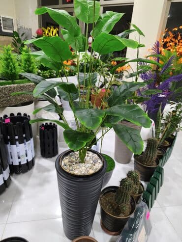 Dekorativ qapalı bitki (sintetik) - Realistik yaşıl yarpaqlı süni lalafo.az -da Dekorativ qapalı bitki (sintetik) - Realistik yaşıl yarpaqlı süni