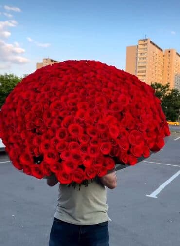 🔴 501 Qızılgül - 700₼
🌐 Ün. Əcəmi m. yaxınlığı
📎 9 lalafo.az -da 🔴 501 Qızılgül - 700₼
🌐 Ün. Əcəmi m. yaxınlığı
📎 9