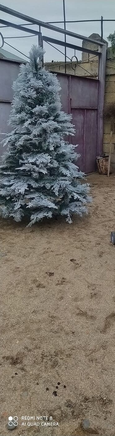 Qarlı effektli süni şam ağacı - Realistik, sıx budaqlı dizayn: qarla lalafo.az -da Qarlı effektli süni şam ağacı - Realistik, sıx budaqlı dizayn: qarla