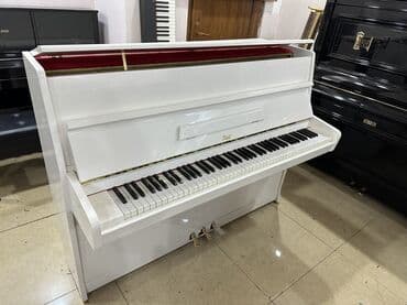 Piano, Petrof, Akustik, Yeni, Pulsuz çatdırılma lalafo.az -da Piano, Petrof, Akustik, Yeni, Pulsuz çatdırılma