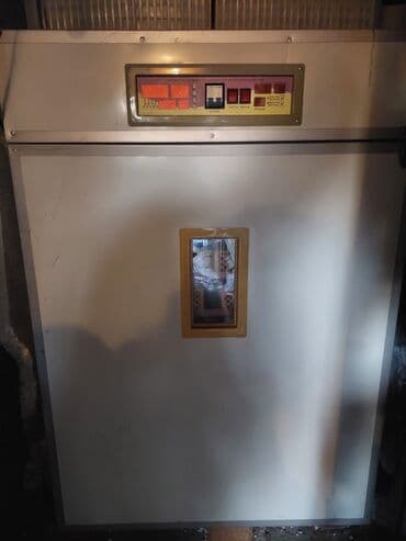 Доильные аппараты: Yumurta İnkubatoru – avtomatik idarəetməli, çoxrəfli 1200 yumurtalı at lalafo.az — 1 Доильные аппараты: Yumurta İnkubatoru – avtomatik idarəetməli, çoxrəfli 1200 yumurtalı — 1