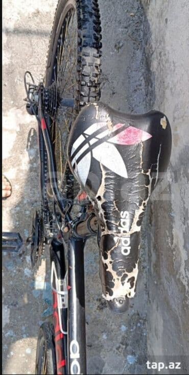 Миски: Б/у BMX велосипед Adidas, 24", Самовывоз at lalafo.az — 4 Миски: Б/у BMX велосипед Adidas, 24", Самовывоз — 4