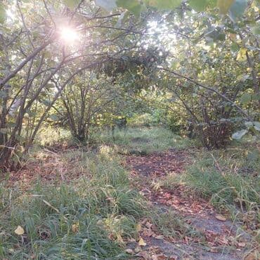 Гаражи: 12 соток, Для строительства, Собственник, Купчая at lalafo.az — 3 Гаражи: 12 соток, Для строительства, Собственник, Купчая — 3