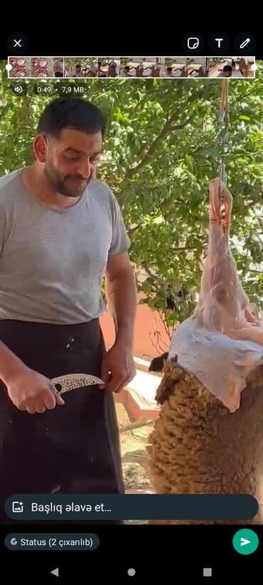 Kənd təsərrüfatı: ÜnvanımCorat . Kababçıyam+ həmdə Qəssab Kimə həm Quzu kəsib Soyan həm lalafo.az -da — 1 Kənd təsərrüfatı: ÜnvanımCorat . Kababçıyam+ həmdə Qəssab Kimə həm Quzu kəsib Soyan həm — 1