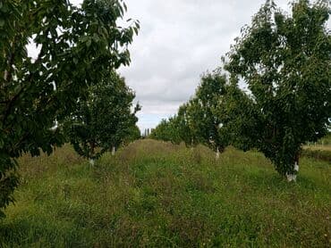 Bağ Xudat şəhərinin yaxınlığında Aşağı Ləgər(5-ci) kəndində yerləşir lalafo.az -da Bağ Xudat şəhərinin yaxınlığında Aşağı Ləgər(5-ci) kəndində yerləşir