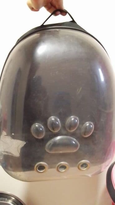 Məhsul: Heyvan daşıma üçün şəffaf qabaq panelli bel çantası . - Ön lalafo.az -da Məhsul: Heyvan daşıma üçün şəffaf qabaq panelli bel çantası . - Ön