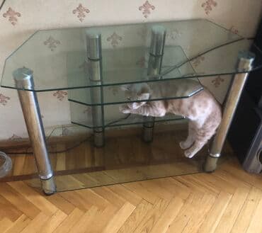 İşlənmiş, Düz TV altlığı, Polkalı, Şüşəli lalafo.az -da İşlənmiş, Düz TV altlığı, Polkalı, Şüşəli