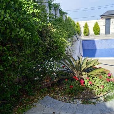 Profesional bağban xidməti ağac və kolların əkilməsi budanması formaya lalafo.az -da Profesional bağban xidməti ağac və kolların əkilməsi budanması formaya