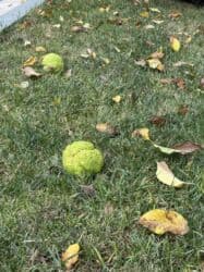 Кассиры: Продавец-консультант требуется, Любой возраст, 1-2 года опыта, Ежедневно оплата at lalafo.az — 1 Кассиры: Продавец-консультант требуется, Любой возраст, 1-2 года опыта, Ежедневно оплата — 1