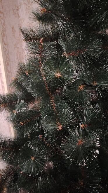 Süni Yeni il şam ağacı - Realistik görünüşlü, tünd-yaşıl iynələri və3 lalafo.az -da Süni Yeni il şam ağacı - Realistik görünüşlü, tünd-yaşıl iynələri və3