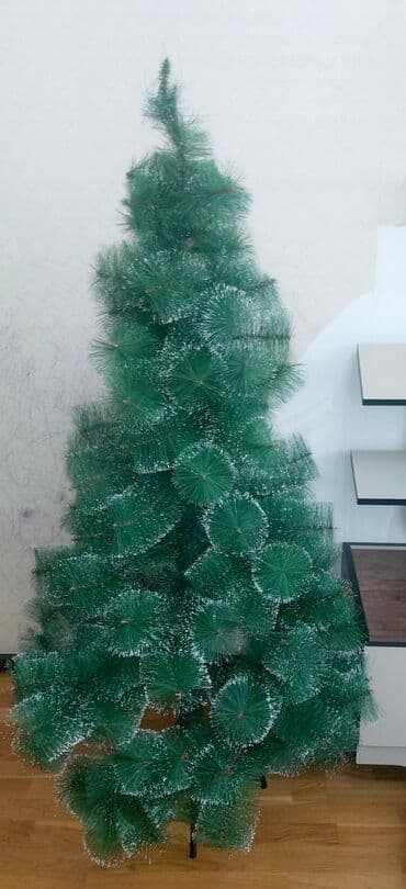 Oyuncaqsız şam aĝacı satılır.Boyu 1.47 lalafo.az -da Oyuncaqsız şam aĝacı satılır.Boyu 1.47