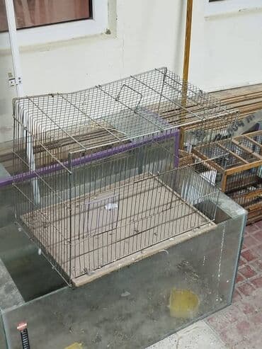 Salam.bülbül ve papuqay üçün hazr qəfəslər .Biri 10 azn .Ünvan Baki lalafo.az -da Salam.bülbül ve papuqay üçün hazr qəfəslər .Biri 10 azn .Ünvan Baki