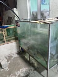 ПО для бизнеса: Akvarum Qalın Şüşədən Hazrlanmş künclərində Dəmir provillə bağlanmış at lalafo.az — 4 ПО для бизнеса: Akvarum Qalın Şüşədən Hazrlanmş künclərində Dəmir provillə bağlanmış — 4