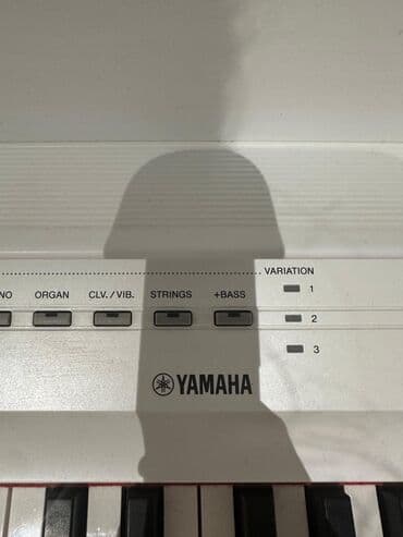 Fleytalar: Piano, Yamaha, Rəqəmsal lalafo.az -da — 6 Fleytalar: Piano, Yamaha, Rəqəmsal — 6