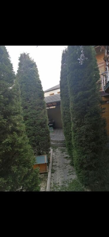 Gözəllik Salonları: Bağban, 44 yaş, 5 ildən artıq təcrübə lalafo.az -da — 10 Gözəllik Salonları: Bağban, 44 yaş, 5 ildən artıq təcrübə — 10