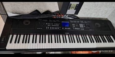 Yamaha 650 pianino 88 klavish
4 il alinib
Musik galeridan lalafo.az -da Yamaha 650 pianino 88 klavish
4 il alinib
Musik galeridan