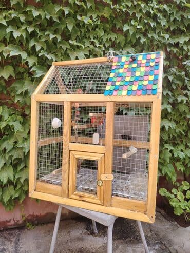 ✨ “Qəfəs Craft” – Sevimli heyvanlarınız üçün əl işi qəfəs və yuvalar lalafo.az -da ✨ “Qəfəs Craft” – Sevimli heyvanlarınız üçün əl işi qəfəs və yuvalar