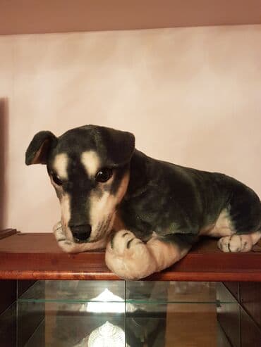 Oyuncaq it. Çin istehsalı. Uzunluğu 70 - 75 sm. Qiyməti 50 - manat lalafo.az -da Oyuncaq it. Çin istehsalı. Uzunluğu 70 - 75 sm. Qiyməti 50 - manat