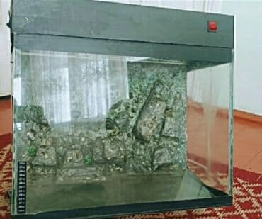 Akvaryum komplekti - Şüşə akvarium, düzbucaqlı forma - Üst qapaqlı lalafo.az -da Akvaryum komplekti - Şüşə akvarium, düzbucaqlı forma - Üst qapaqlı