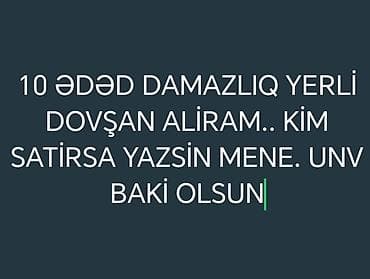 Elan: 10 ədəd damazlıq yerli dovşan axtarıram. Yalnız Bakı ünvanı lalafo.az -da Elan: 10 ədəd damazlıq yerli dovşan axtarıram. Yalnız Bakı ünvanı
