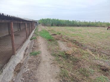 Ferma təsərrüfatı üçün hazır obyekt - Geniş torpaq sahəsi və açıq lalafo.az -da — 1 Ferma təsərrüfatı üçün hazır obyekt - Geniş torpaq sahəsi və açıq — 1