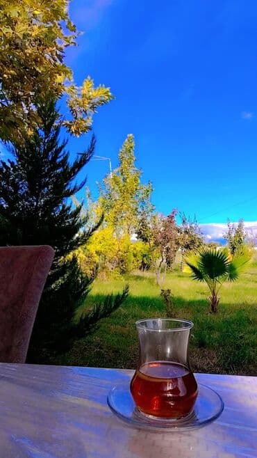 Kent məhsulları. Pendir, süd, qatıq, yumurta,, nehrə yağı - kərə yağı lalafo.az -da Kent məhsulları. Pendir, süd, qatıq, yumurta,, nehrə yağı - kərə yağı