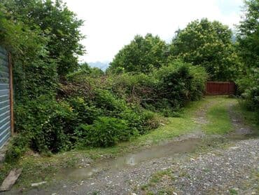 10 sot, Tikinti, Mülkiyyətçi, Kupça (Çıxarış) lalafo.az -da 10 sot, Tikinti, Mülkiyyətçi, Kupça (Çıxarış)