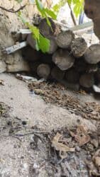 Salam.
şalbanlar satılır.
razılaşma yolu ilə lalafo.az -da Salam.
şalbanlar satılır.
razılaşma yolu ilə