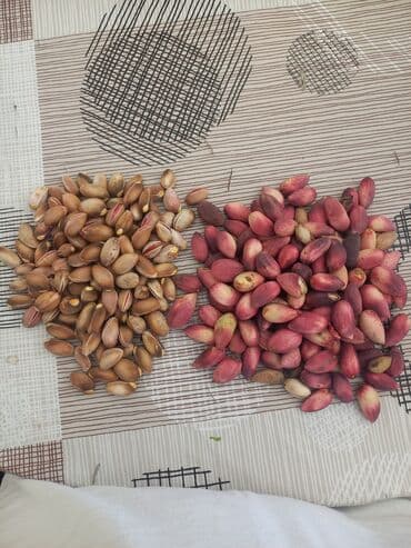 PÜSTƏ -FSTƏŞKA.
TOHUM VAR. 100% təzədir
50 əd - 50 man lalafo.az -da PÜSTƏ -FSTƏŞKA.
TOHUM VAR. 100% təzədir
50 əd - 50 man