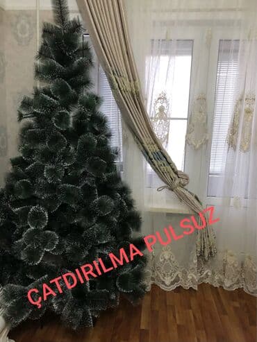 Sifarisle eve getiririk Çatdırılma pulsuz whatsapp aktivdir 🌲🌲🌲1.80sm lalafo.az -da Sifarisle eve getiririk Çatdırılma pulsuz whatsapp aktivdir 🌲🌲🌲1.80sm
