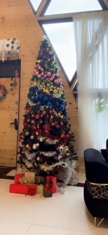 Yolka satılır 110 manata✅Hündürlüyü 3 metrdi. Böyük yolkadı. İçinde lalafo.az -da Yolka satılır 110 manata✅Hündürlüyü 3 metrdi. Böyük yolkadı. İçinde