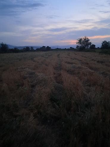 64 sot, Kənd təsərrüfatı, Kupça (Çıxarış) lalafo.az -da 64 sot, Kənd təsərrüfatı, Kupça (Çıxarış)