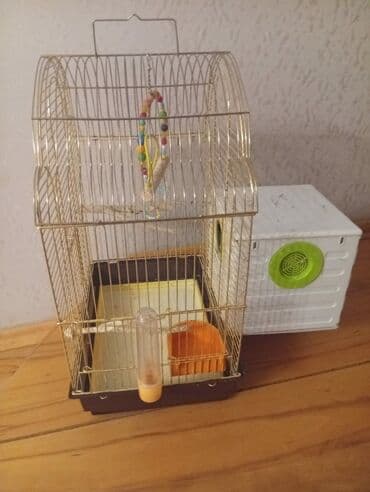 Quş qəfəsi və aksesuarlar. Qefes satılır yeni kimidiraz istifade lalafo.az -da Quş qəfəsi və aksesuarlar. Qefes satılır yeni kimidiraz istifade
