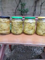 Соления: (üzüm yarpağı) – evdə hazırlanmış, duzlu suda konservləşdirilmiş at lalafo.az — 1 Соления: (üzüm yarpağı) – evdə hazırlanmış, duzlu suda konservləşdirilmiş — 1