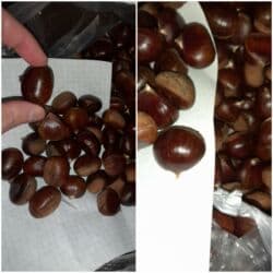 Соления: Şabalıd. Qəbələ Vəndam şabalıdı satılır. Təmiz öz həyətimizdəndir at lalafo.az — 1 Соления: Şabalıd. Qəbələ Vəndam şabalıdı satılır. Təmiz öz həyətimizdəndir — 1