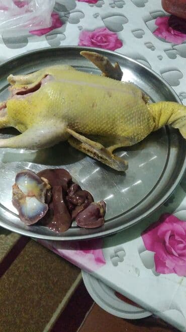 Halal kəsim lal ordeyler imiz satışda lalafo.az -da Halal kəsim lal ordeyler imiz satışda