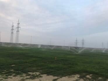 Ландшафтные работы: Təbii rulon qazon satışı və sahədə quraşdırma xidməti - Geniş əkin at lalafo.az — 2 Ландшафтные работы: Təbii rulon qazon satışı və sahədə quraşdırma xidməti - Geniş əkin — 2