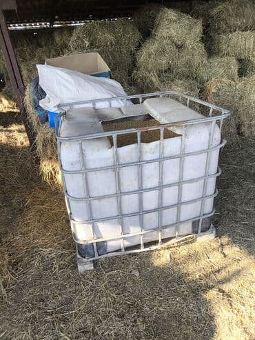 Bak, Plastik, 1000 l l lalafo.az -da Bak, Plastik, 1000 l l