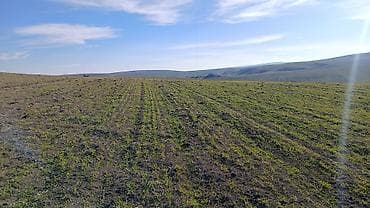 100 sot, Kənd təsərrüfatı, Mülkiyyətçi, Kupça (Çıxarış) lalafo.az -da 100 sot, Kənd təsərrüfatı, Mülkiyyətçi, Kupça (Çıxarış)