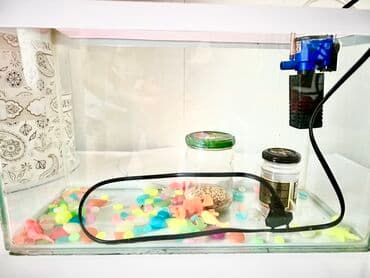 Akvaryum seti - Şüşə akvaryum (təxminən kiçik/orta həcm40/17/25). - lalafo.az -da Akvaryum seti - Şüşə akvaryum (təxminən kiçik/orta həcm40/17/25). -