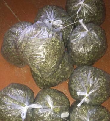 Salam. Xoş ətirli və dadına doyum olmayan Qarabağlar kəklikotusu lalafo.az -da Salam. Xoş ətirli və dadına doyum olmayan Qarabağlar kəklikotusu