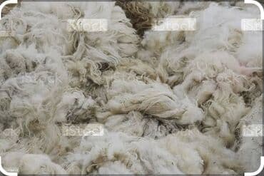 Сёдла: Qoyun yunu satılır.Çəkisi 900 kq.Çirklidir.Real alıcılar əlaqə at lalafo.az — 4 Сёдла: Qoyun yunu satılır.Çəkisi 900 kq.Çirklidir.Real alıcılar əlaqə — 4