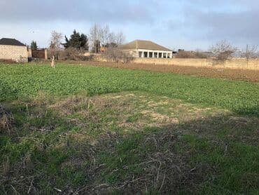 15 sot lalafo.az -da 15 sot