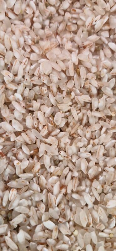 Satılır qırmızı yumru yerli düyü. Şəkər xəstələri, qan azlığı olanlar lalafo.az -da Satılır qırmızı yumru yerli düyü. Şəkər xəstələri, qan azlığı olanlar