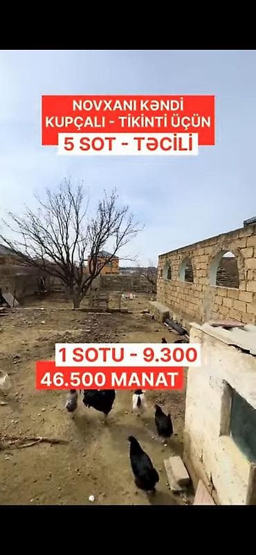 5 sot, Tikinti, Mülkiyyətçi, Kupça (Çıxarış) lalafo.az -da 5 sot, Tikinti, Mülkiyyətçi, Kupça (Çıxarış)
