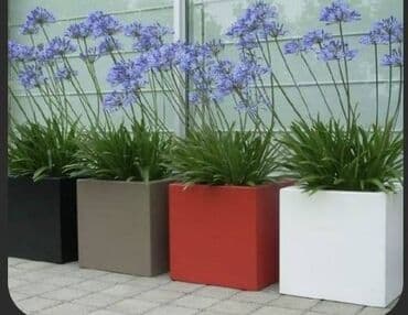 Her razmir de özel dibcek istehsal edirik. Qvadrat ve adede gore lalafo.az -da Her razmir de özel dibcek istehsal edirik. Qvadrat ve adede gore