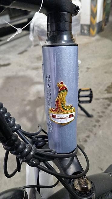 Elektrikli Velosiped - Phoenix 250–350W elektrik mühərriki 48V Li-ion lalafo.az -da — 4 Elektrikli Velosiped - Phoenix 250–350W elektrik mühərriki 48V Li-ion — 4