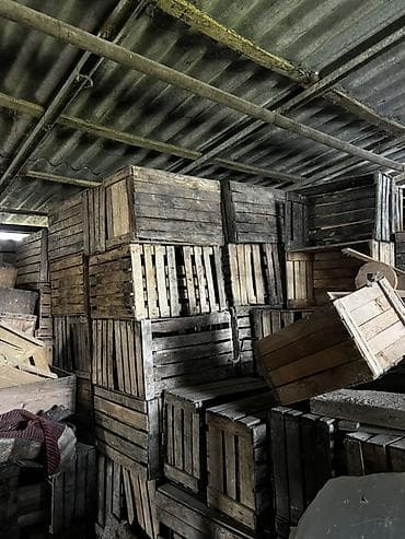 Alma yeşikləri meyvə bağı satıldığı üçün istifadə olunmur deye lalafo.az -da Alma yeşikləri meyvə bağı satıldığı üçün istifadə olunmur deye